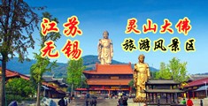 亚洲荡妇江苏无锡灵山大佛旅游风景区