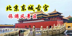男人插妇女逼视频中国北京-东城古宫旅游风景区